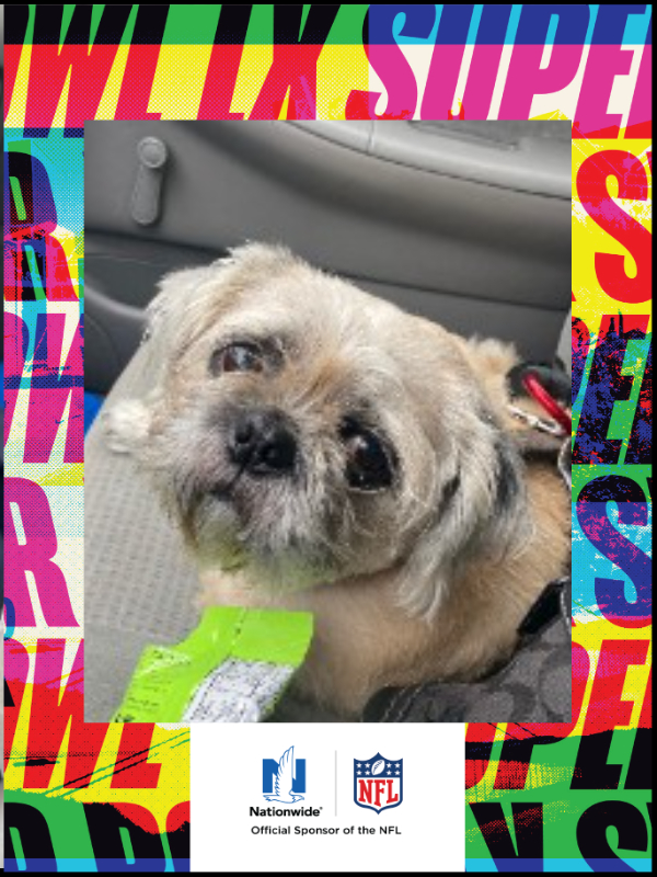 Choo Choo Charlie Simon