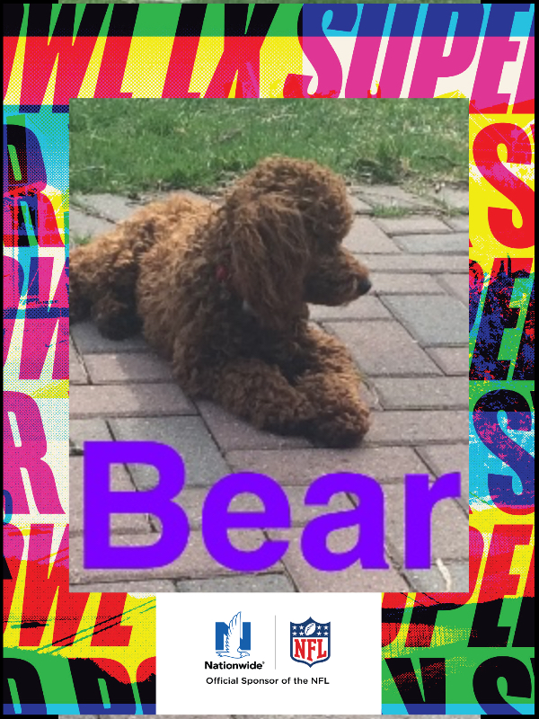 Bear